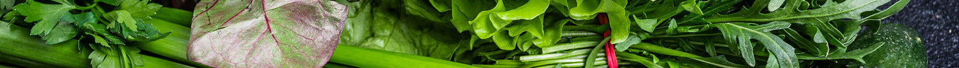 The Power of Greens: The Superfood Revolution in a Scoop